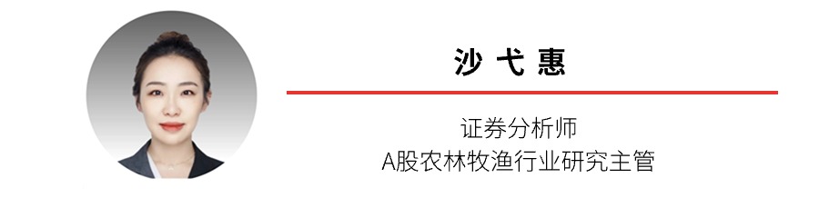 沙弋惠-证券分析师 沙弋惠-证券分析师